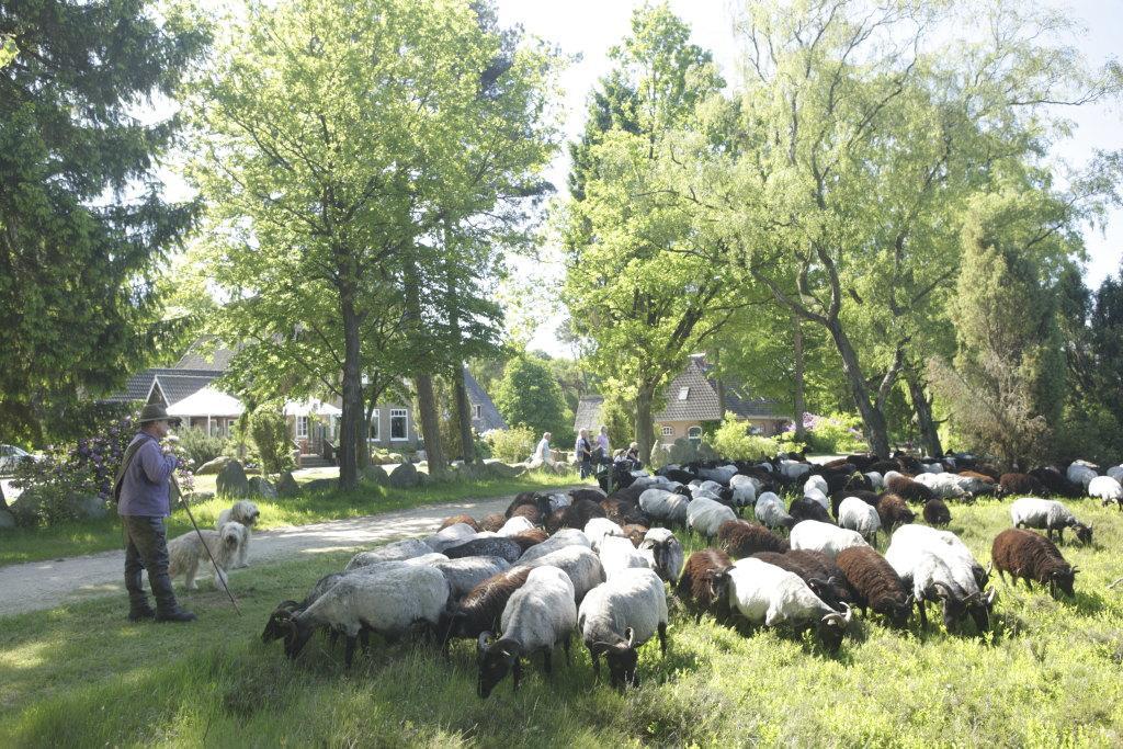 Gasthof Menke Niederhaverbeck エクステリア 写真