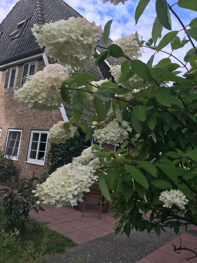 Gasthof Menke Niederhaverbeck エクステリア 写真